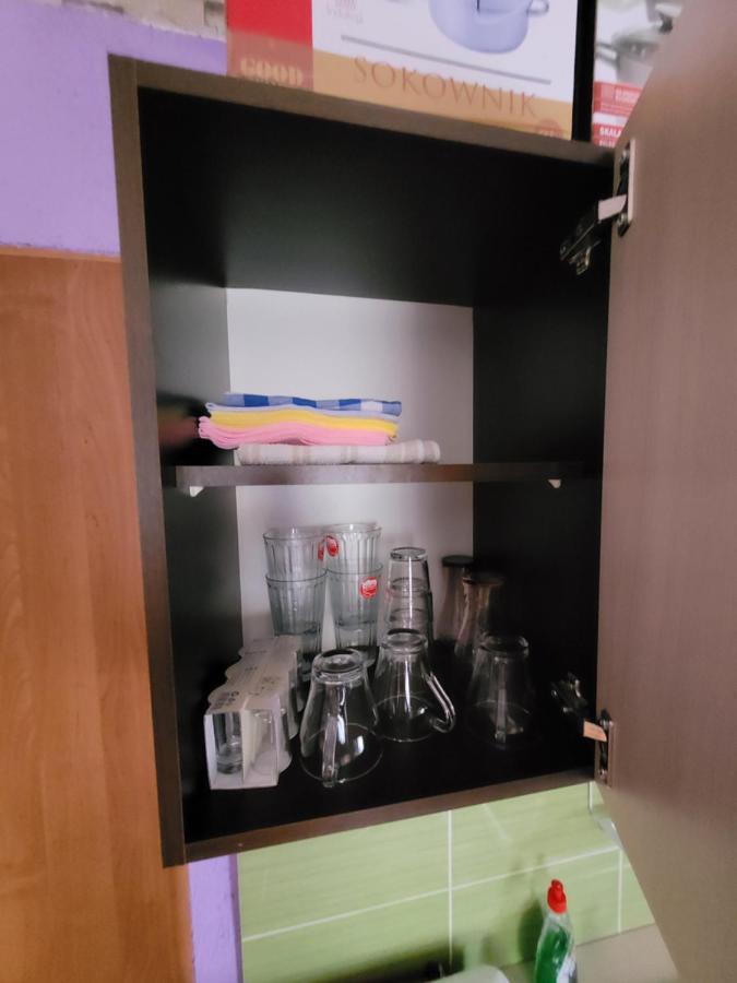 Wiejski Relax Pod "Zelaznym Szlakiem" Jastrzębie Zdrój Bagian luar foto